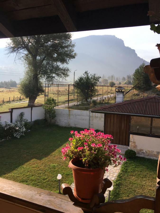 Villa Paradise Beli Iskar Extérieur photo